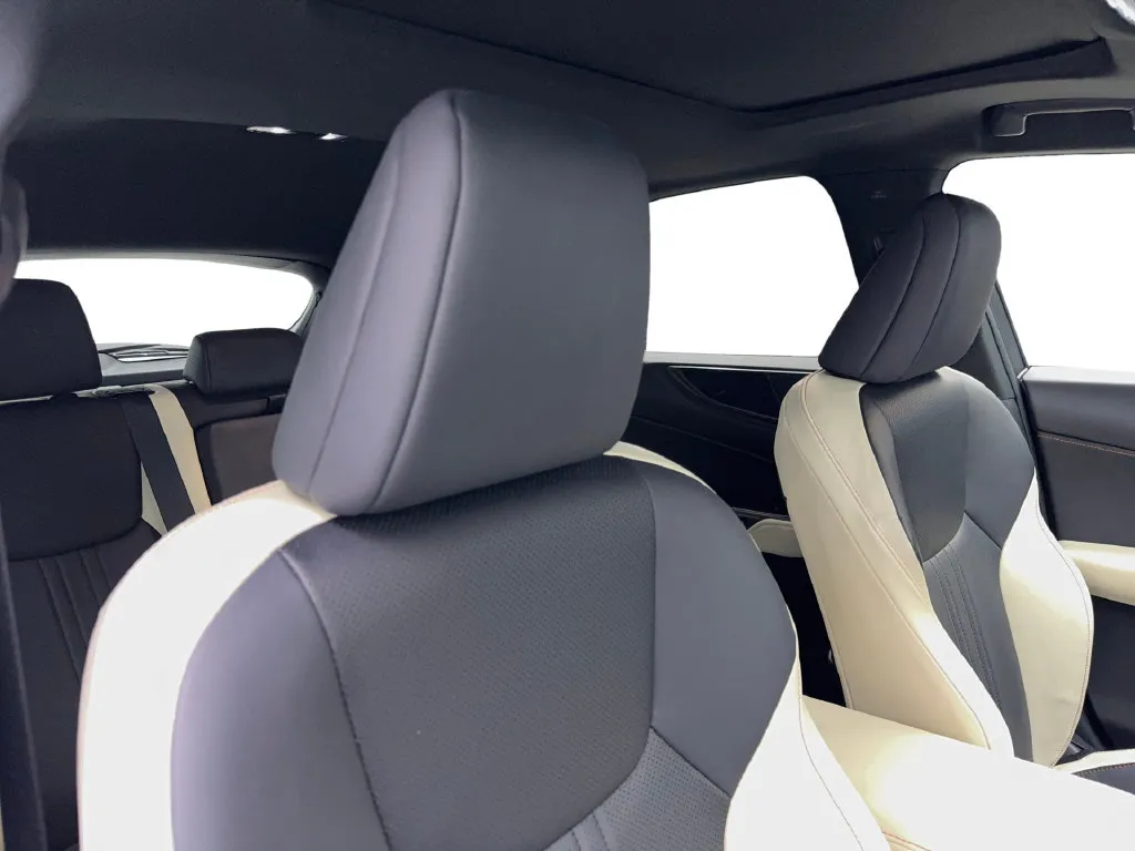 Lexus NX photo 47