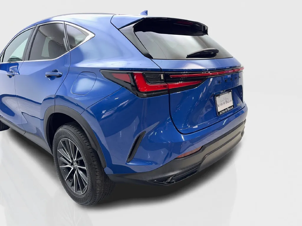 Lexus NX photo 21