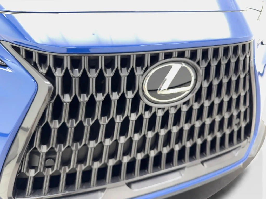 Lexus NX photo 27