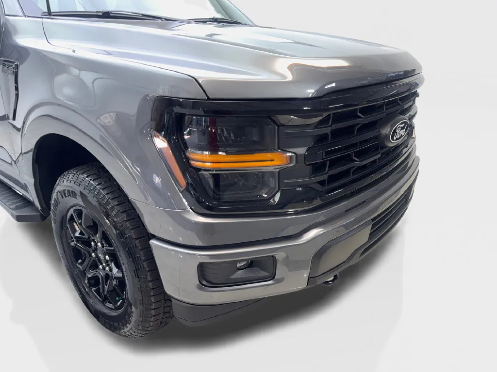 Ford F-150 photo 19