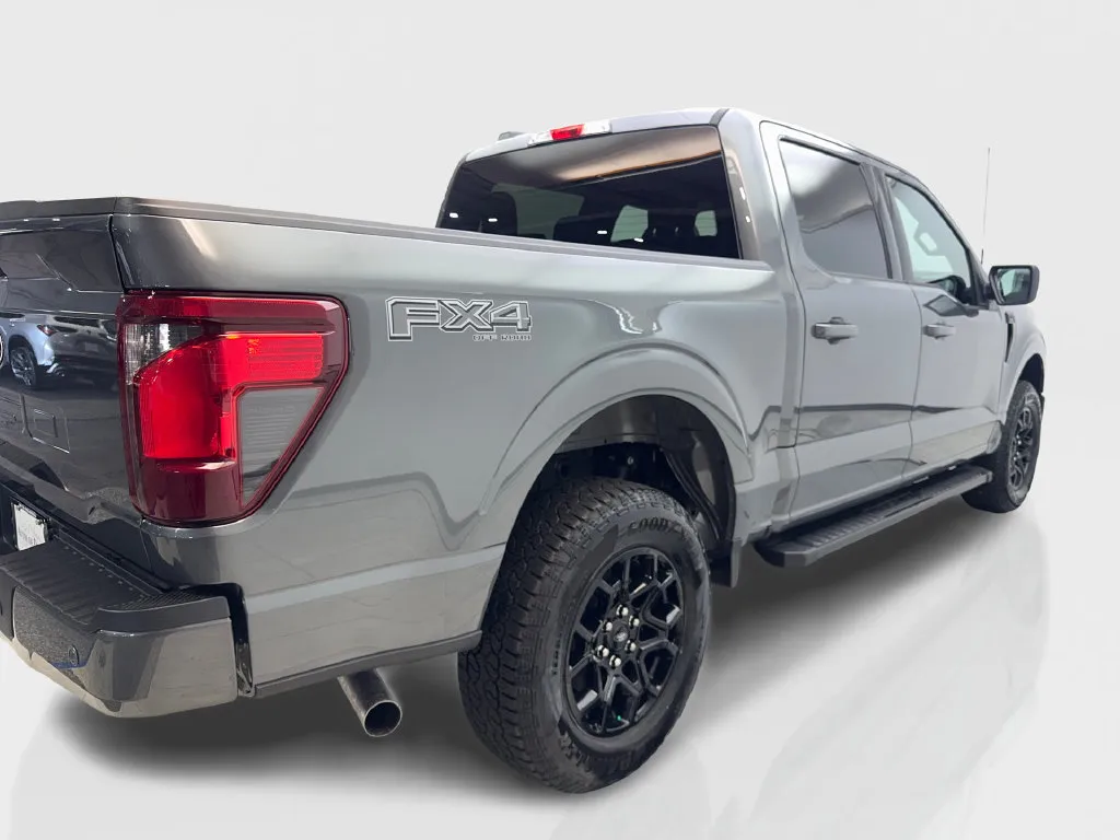 Ford F-150 photo 15