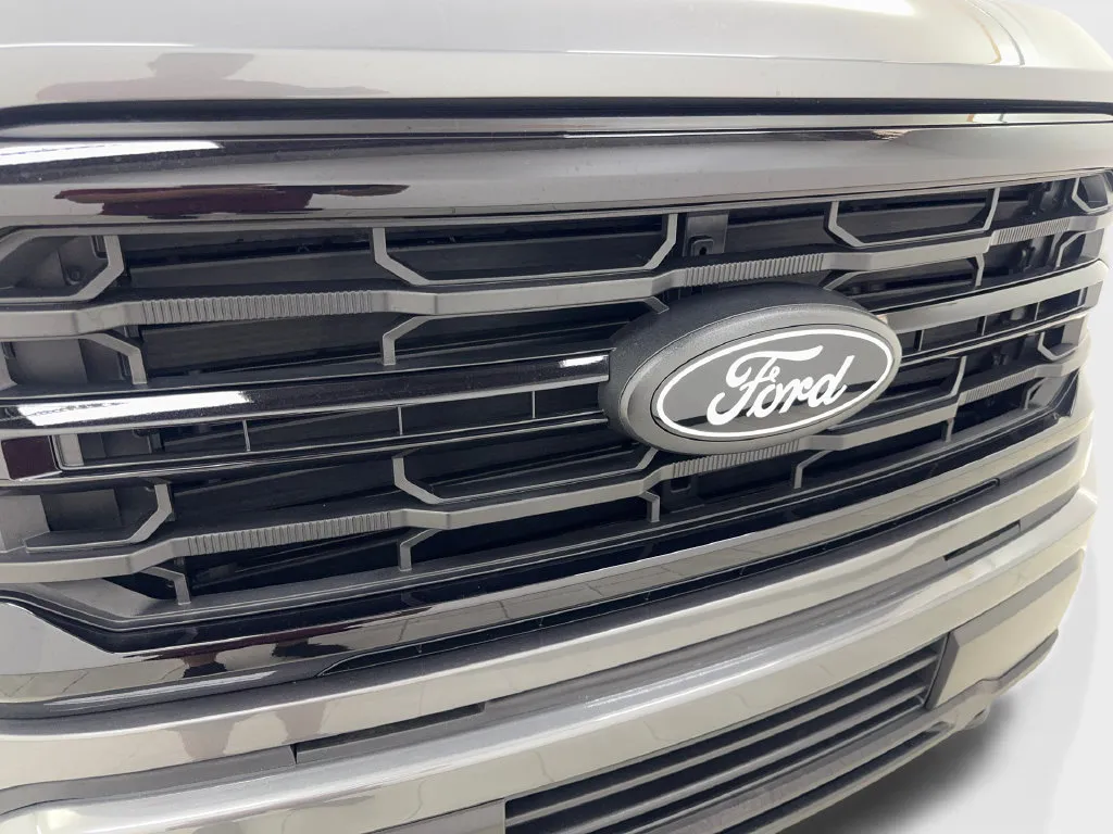 Ford F-150 photo 28