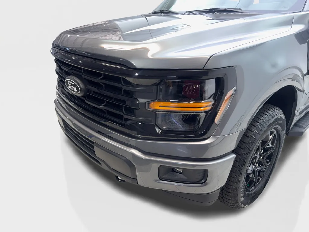 Ford F-150 photo 18