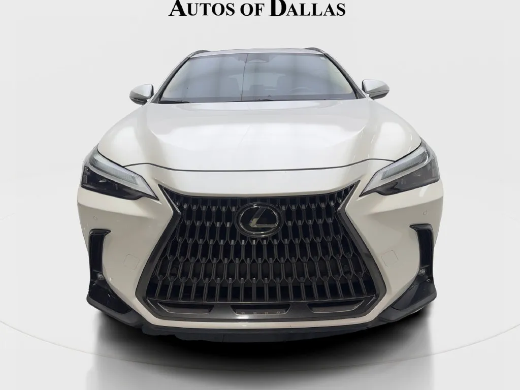 Lexus NX photo 4