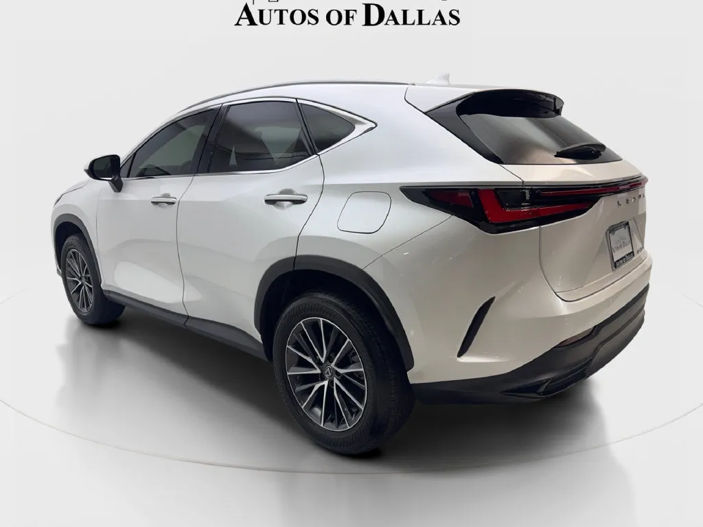 Lexus NX photo 10