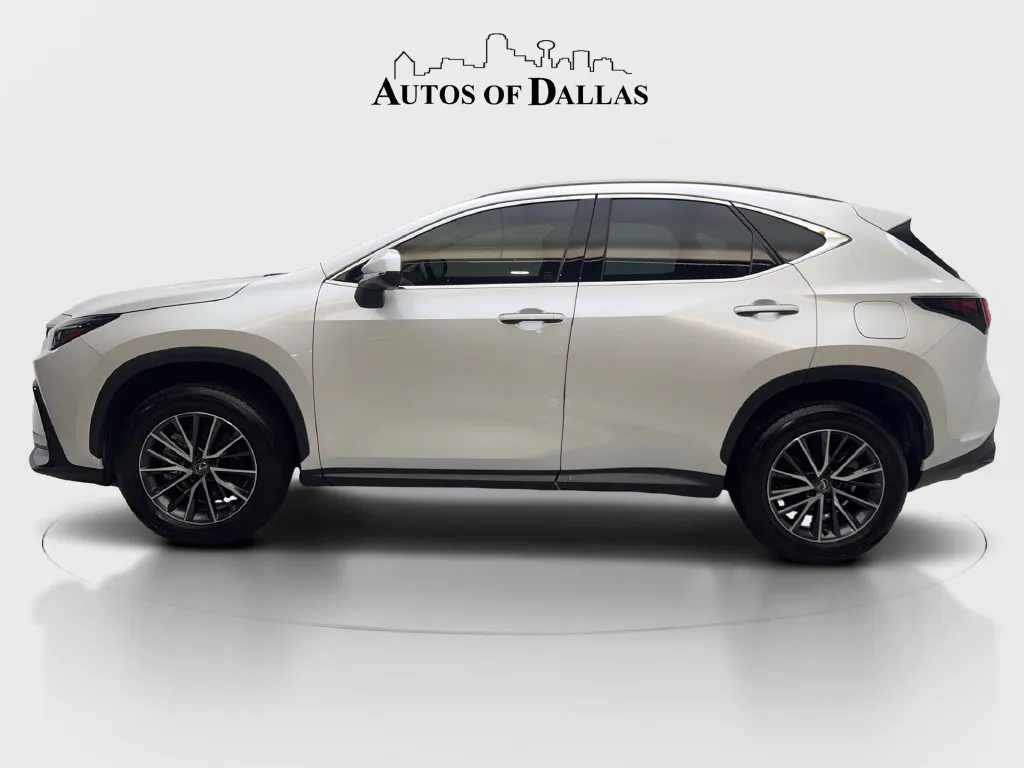 Lexus NX photo 6