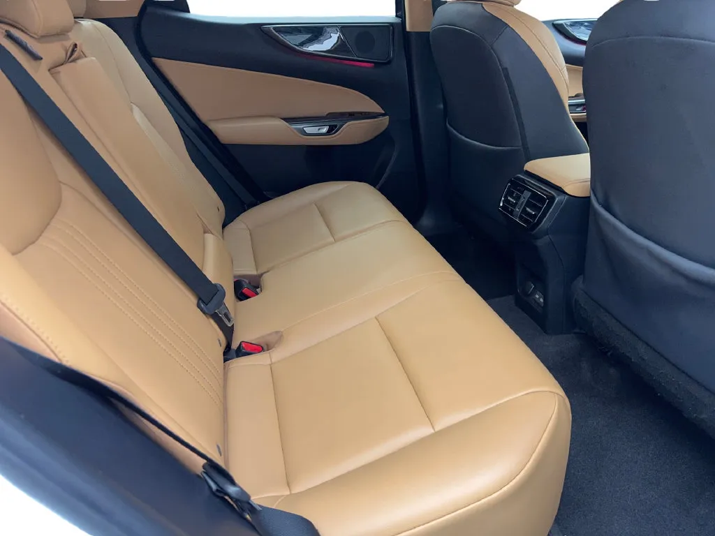 Lexus NX photo 41
