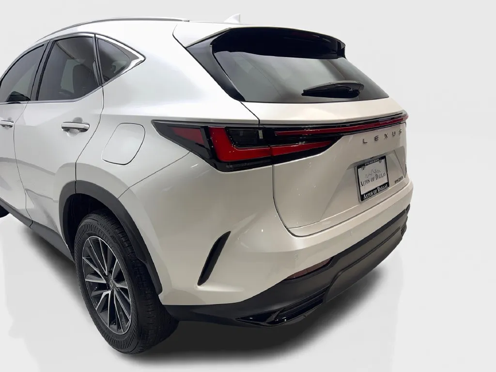 Lexus NX photo 21