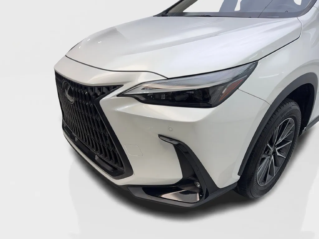 Lexus NX photo 18