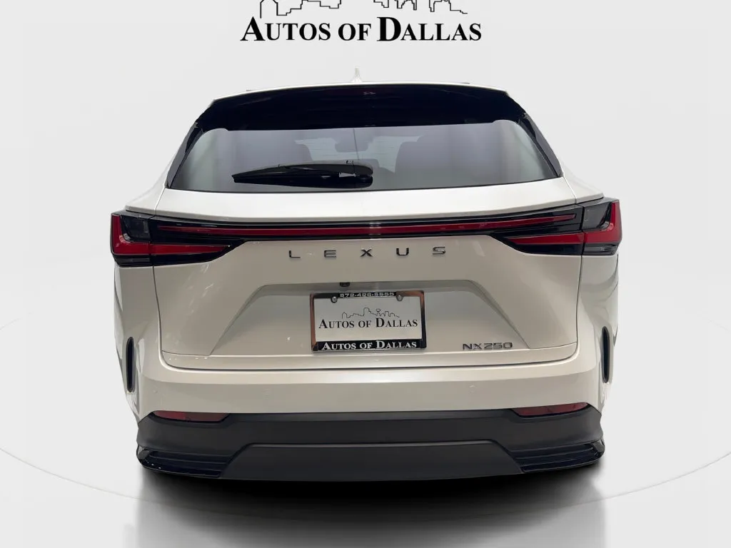 Lexus NX photo 8