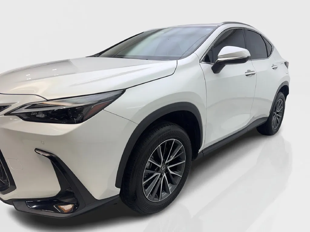 Lexus NX photo 12