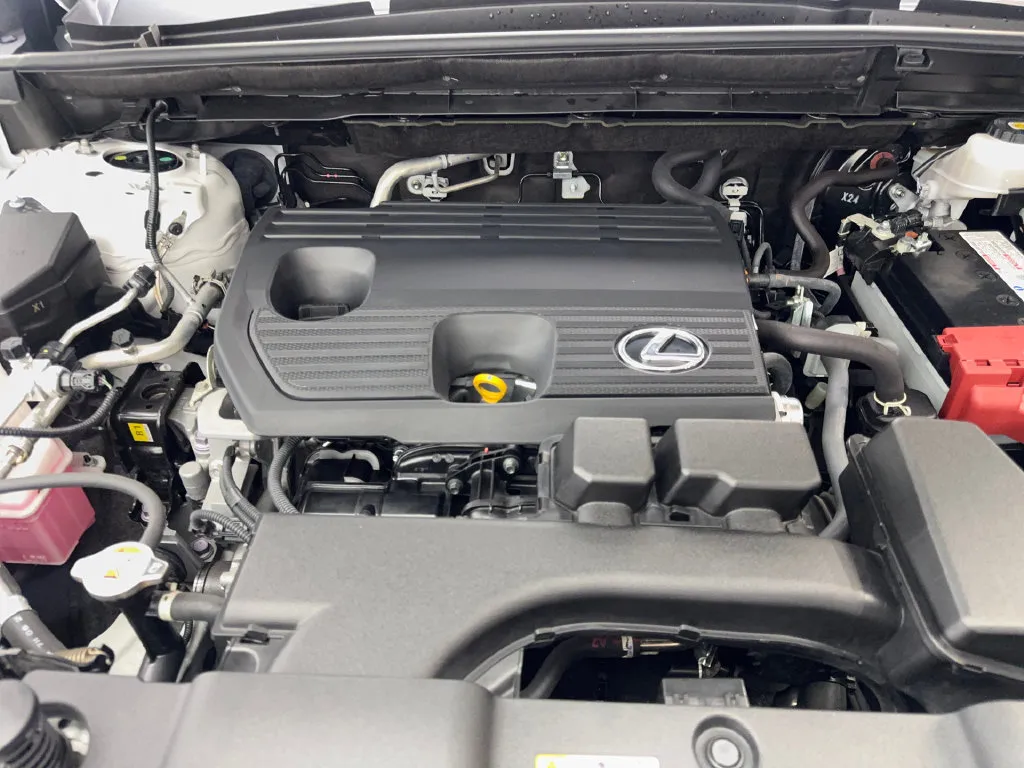 Lexus NX photo 76
