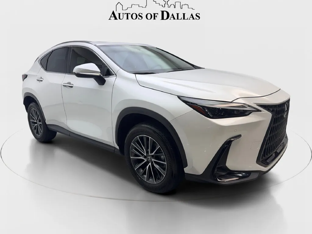 Lexus NX photo 5