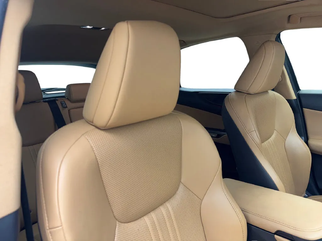 Lexus NX photo 47