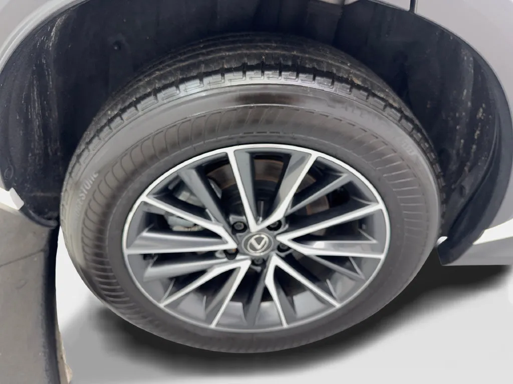 Lexus NX photo 85