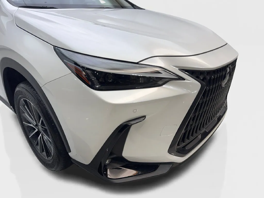 Lexus NX photo 19