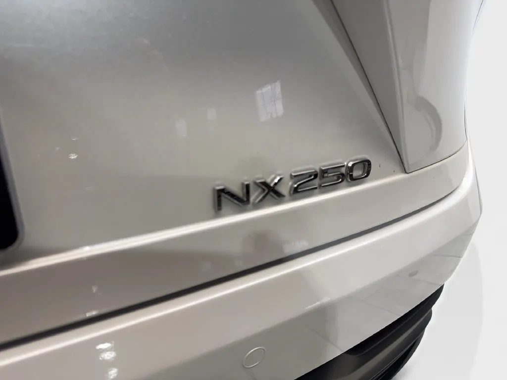 Lexus NX photo 25