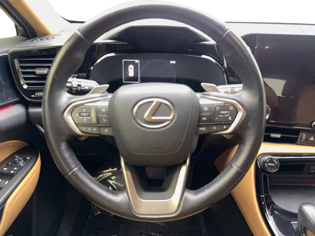 Lexus NX photo 58