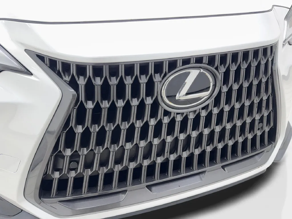 Lexus NX photo 27