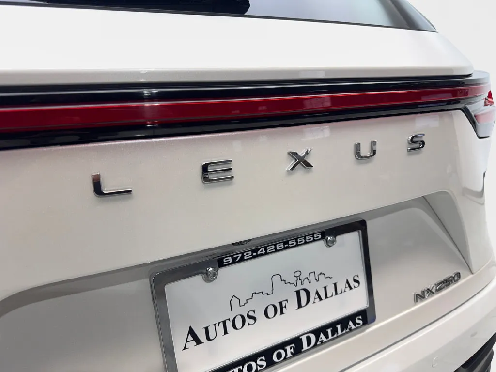Lexus NX photo 23
