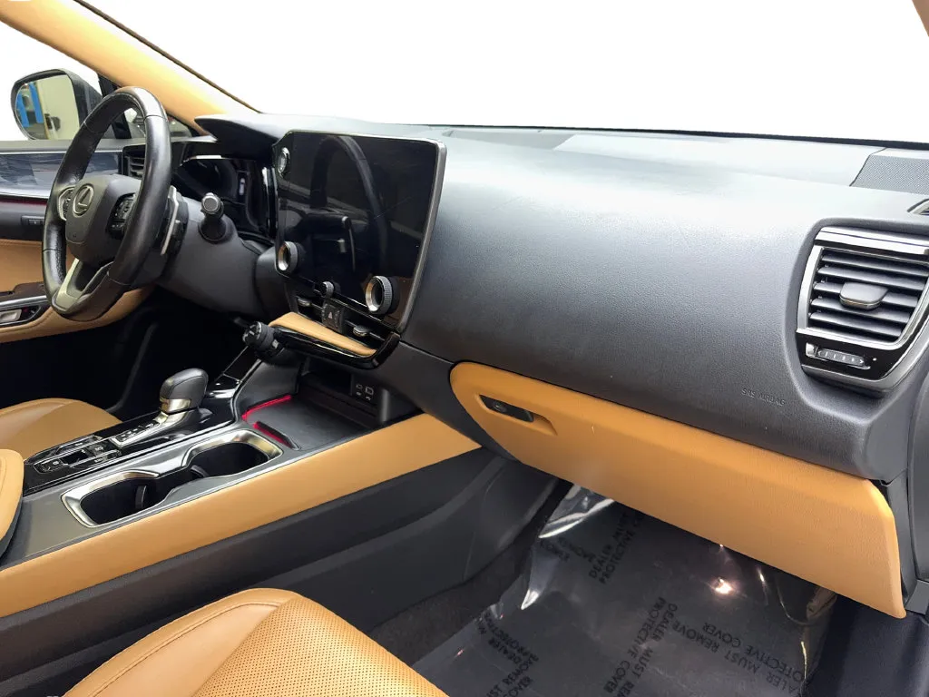 Lexus NX photo 54