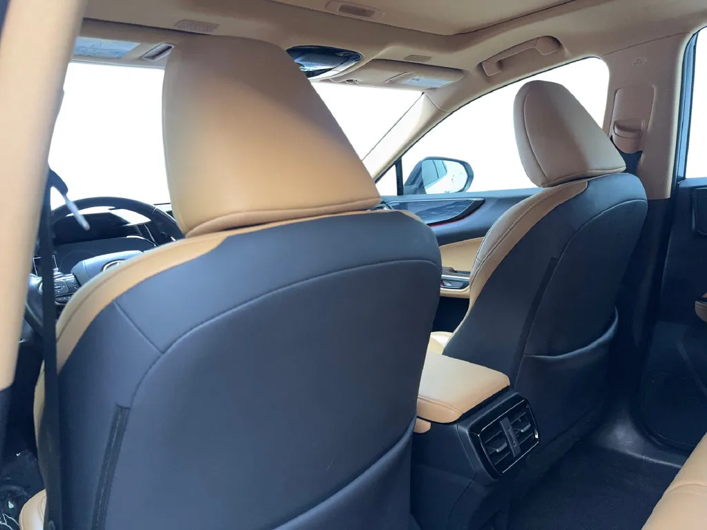 Lexus NX photo 37