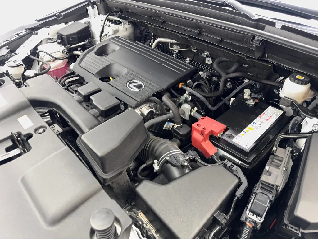 Lexus NX photo 75
