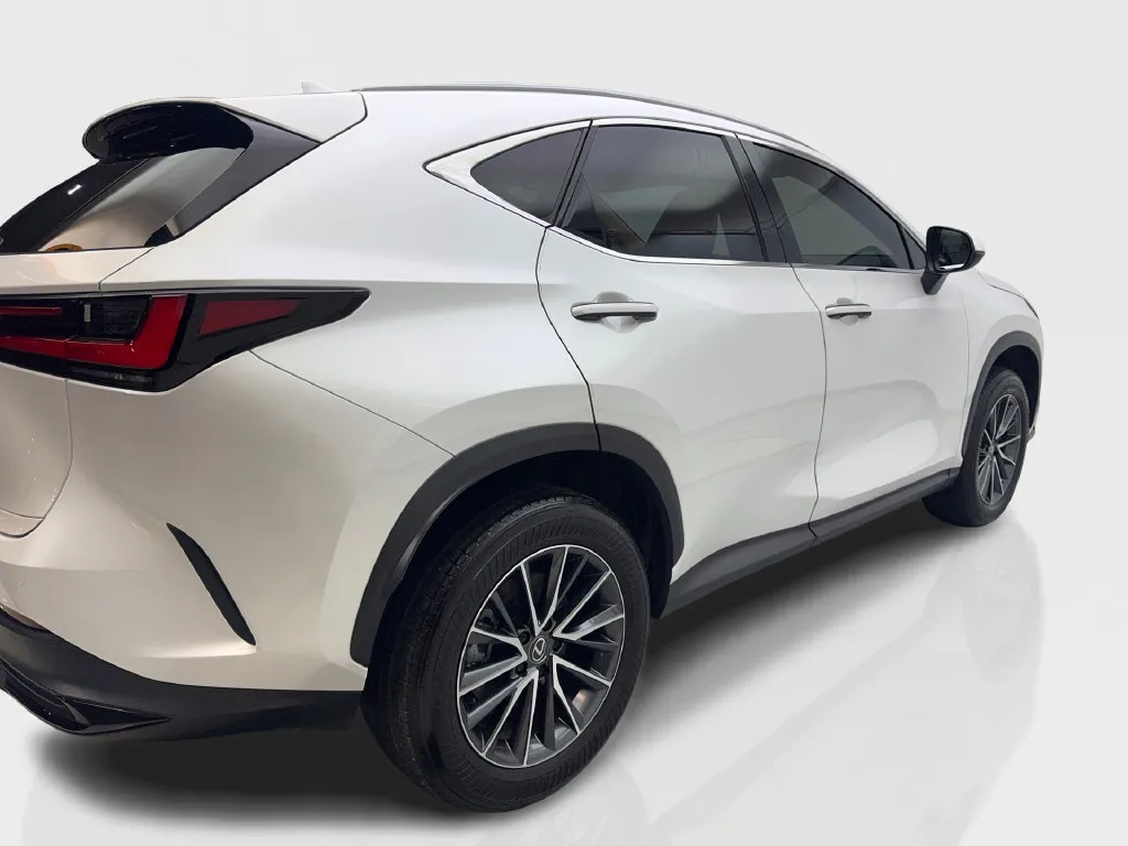 Lexus NX photo 15