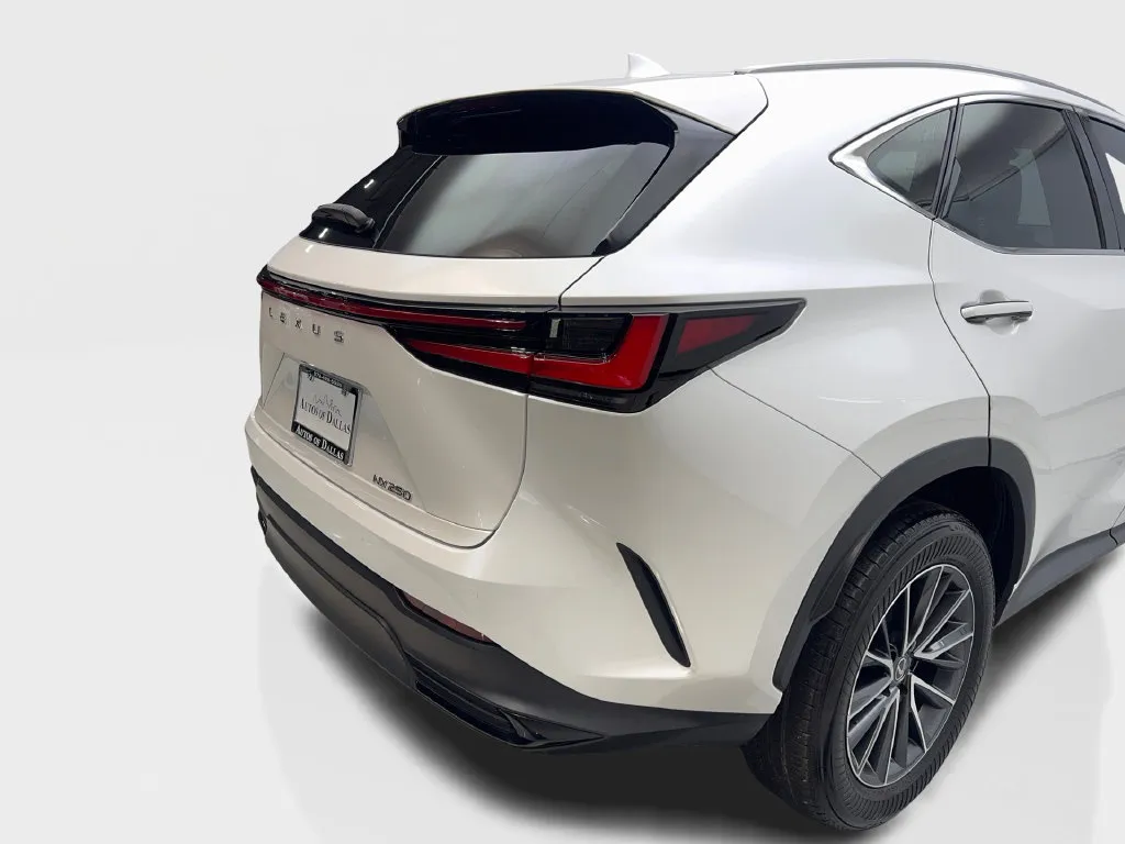 Lexus NX photo 20