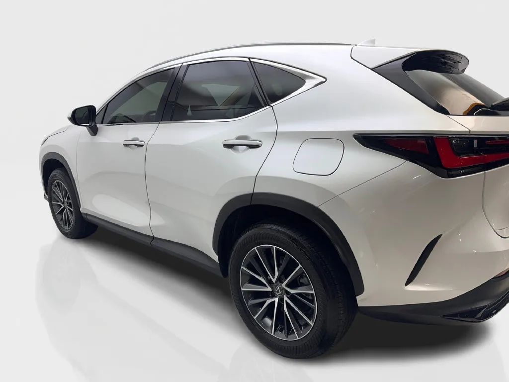 Lexus NX photo 16