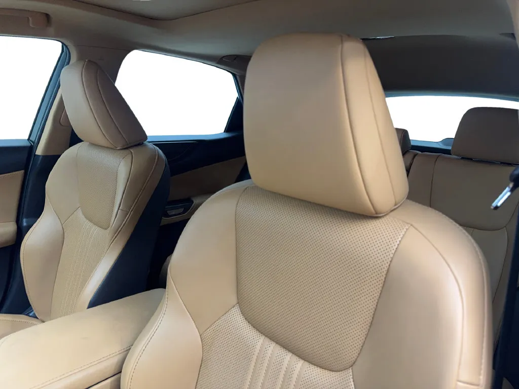 Lexus NX photo 29