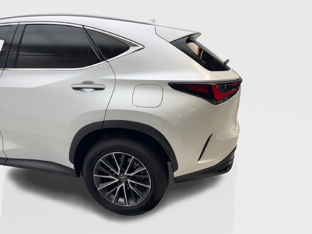 Lexus NX photo 19