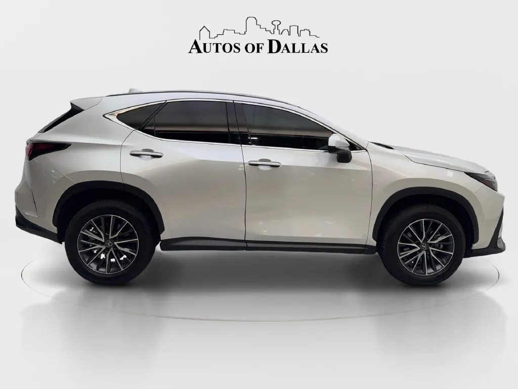 Lexus NX photo 6