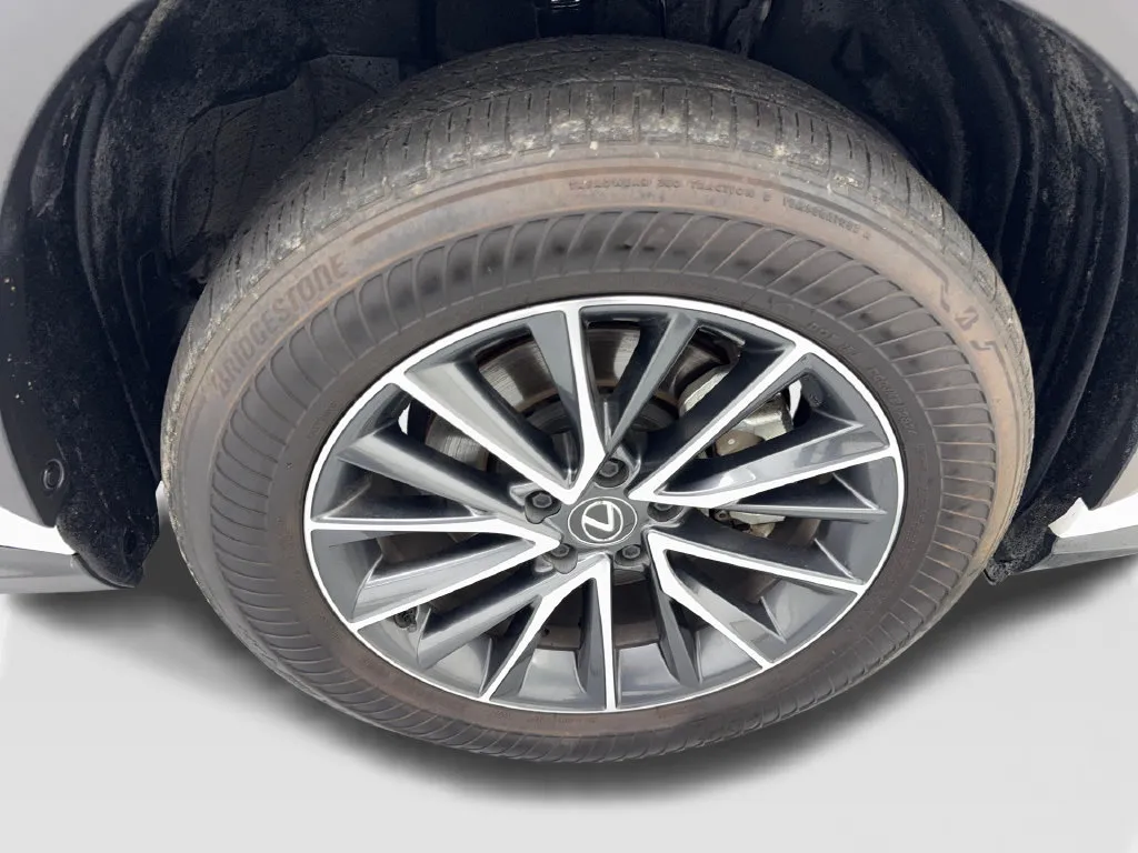 Lexus NX photo 81