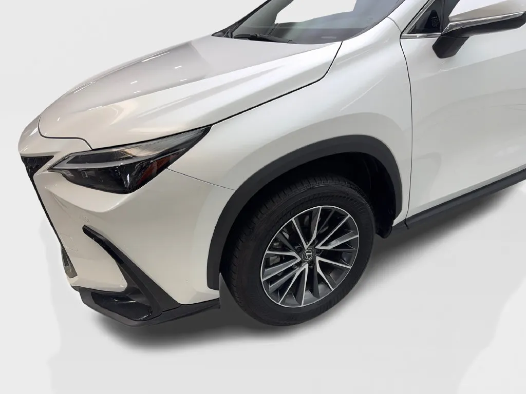 Lexus NX photo 20