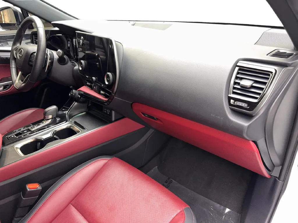 Lexus NX photo 51