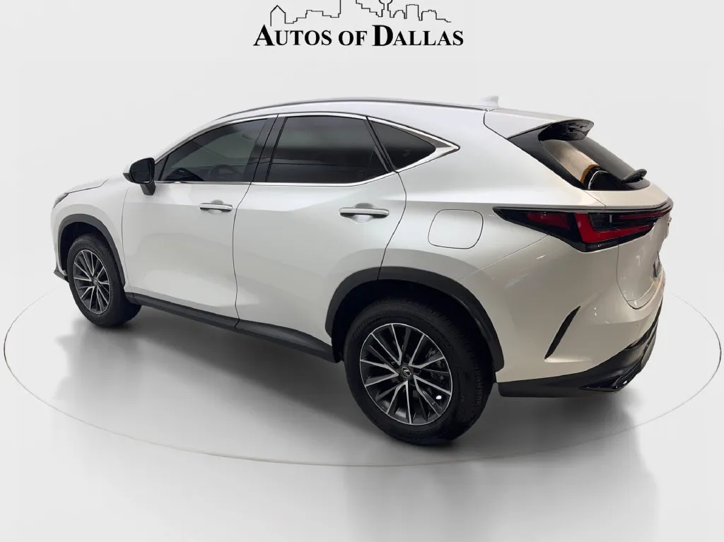 Lexus NX photo 10