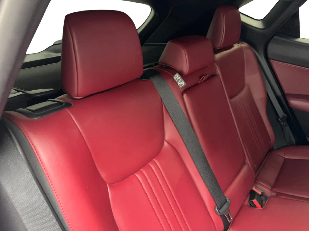 Lexus NX photo 41