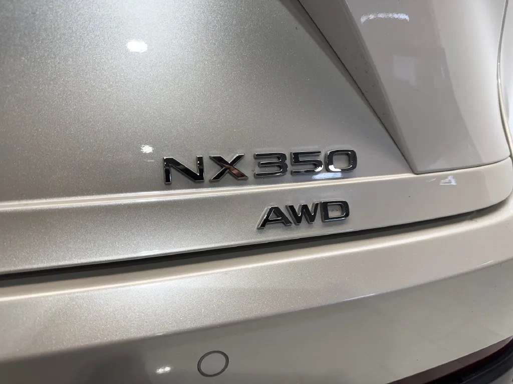 Lexus NX photo 23