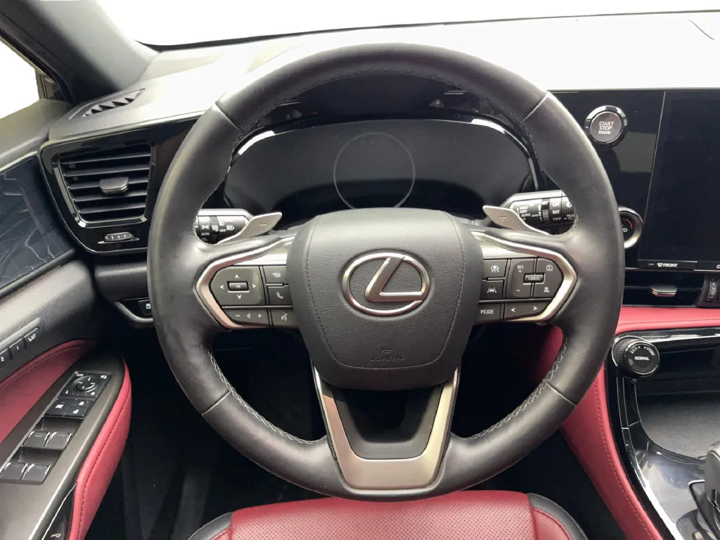 Lexus NX photo 54