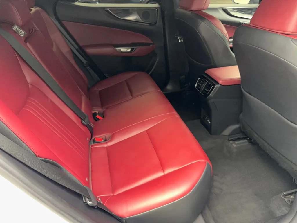 Lexus NX photo 40