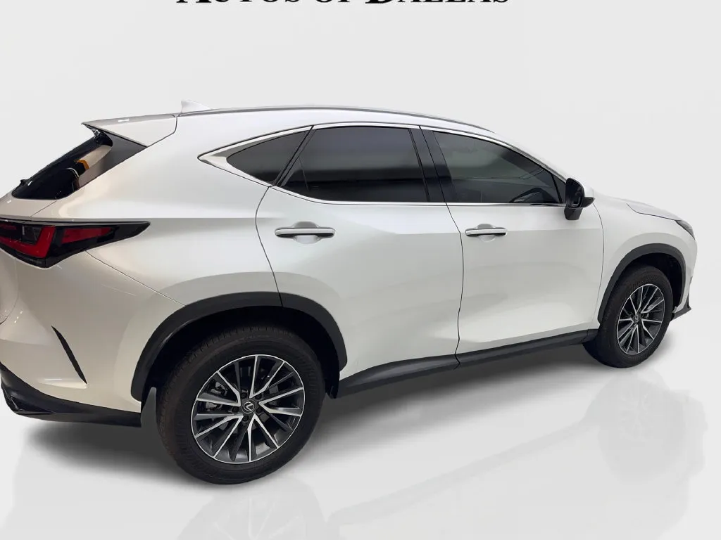 Lexus NX photo 16