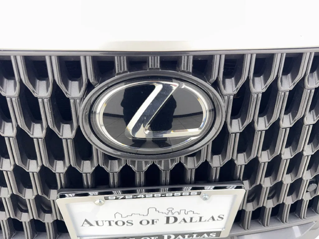 Lexus NX photo 25
