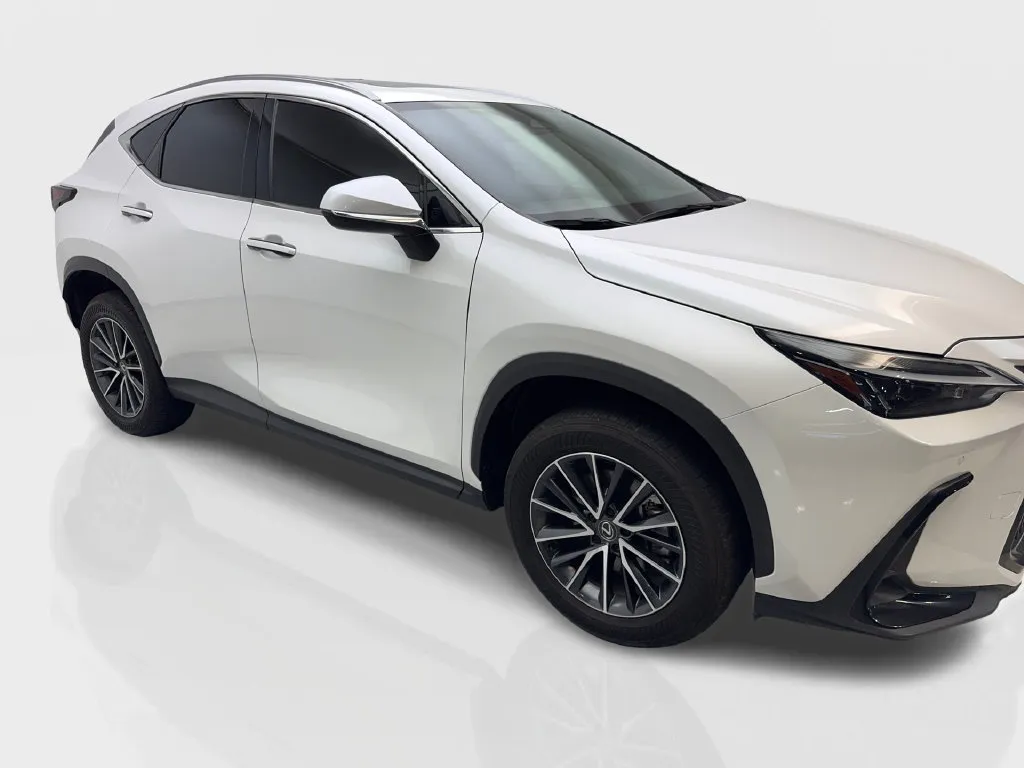 Lexus NX photo 14