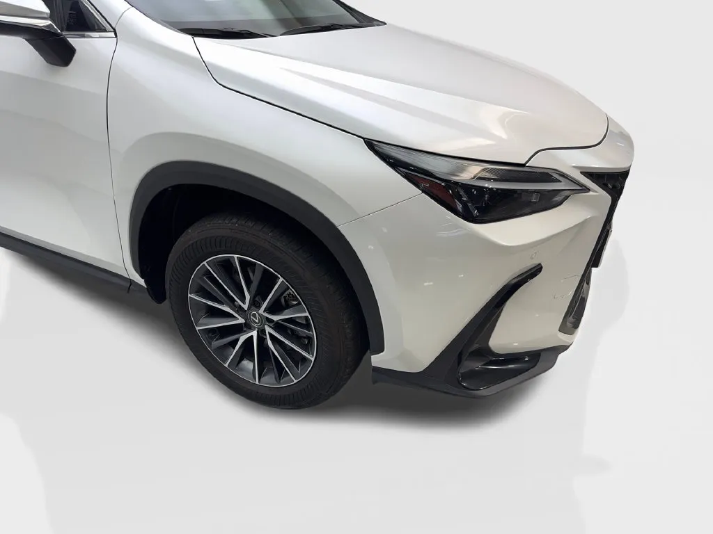 Lexus NX photo 21