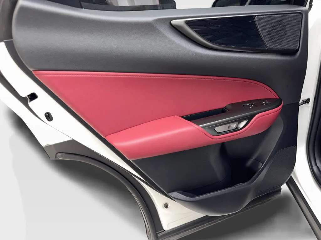 Lexus NX photo 37