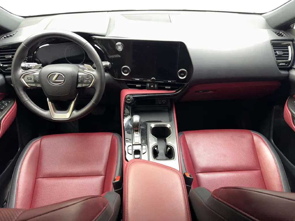Lexus NX photo 53