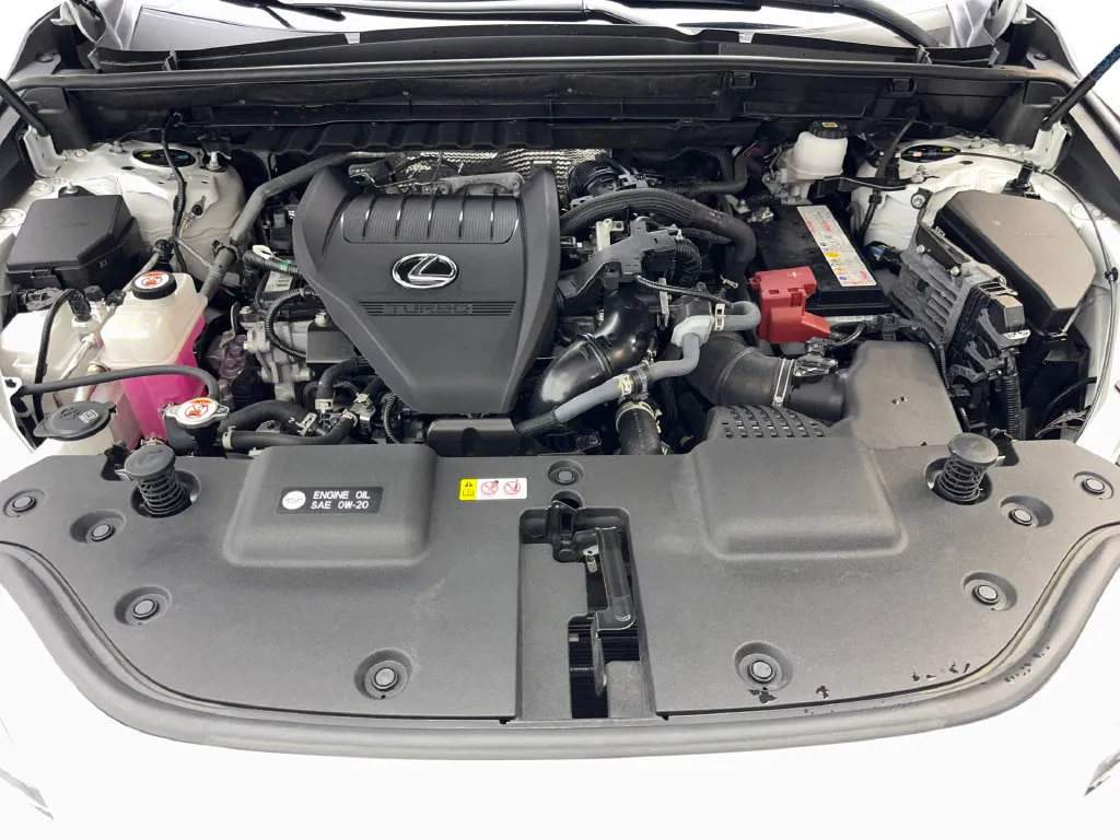 Lexus NX photo 74