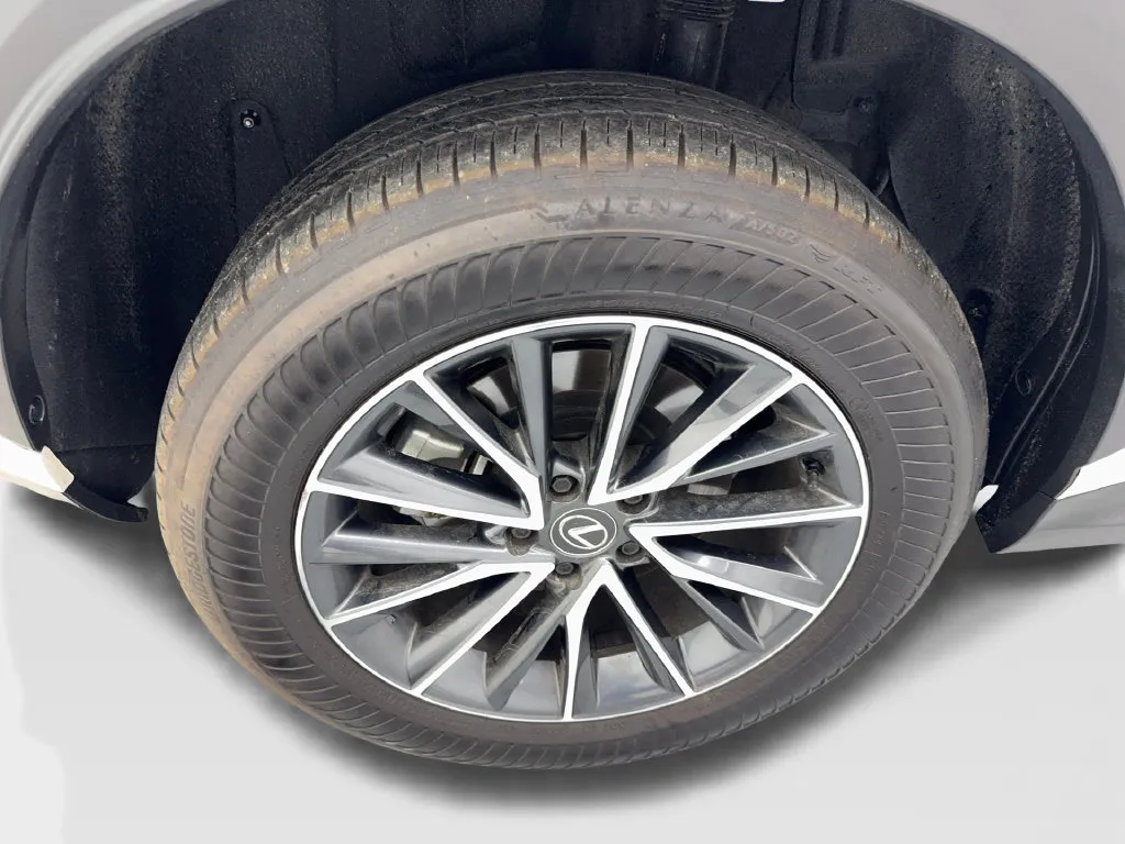 Lexus NX photo 80