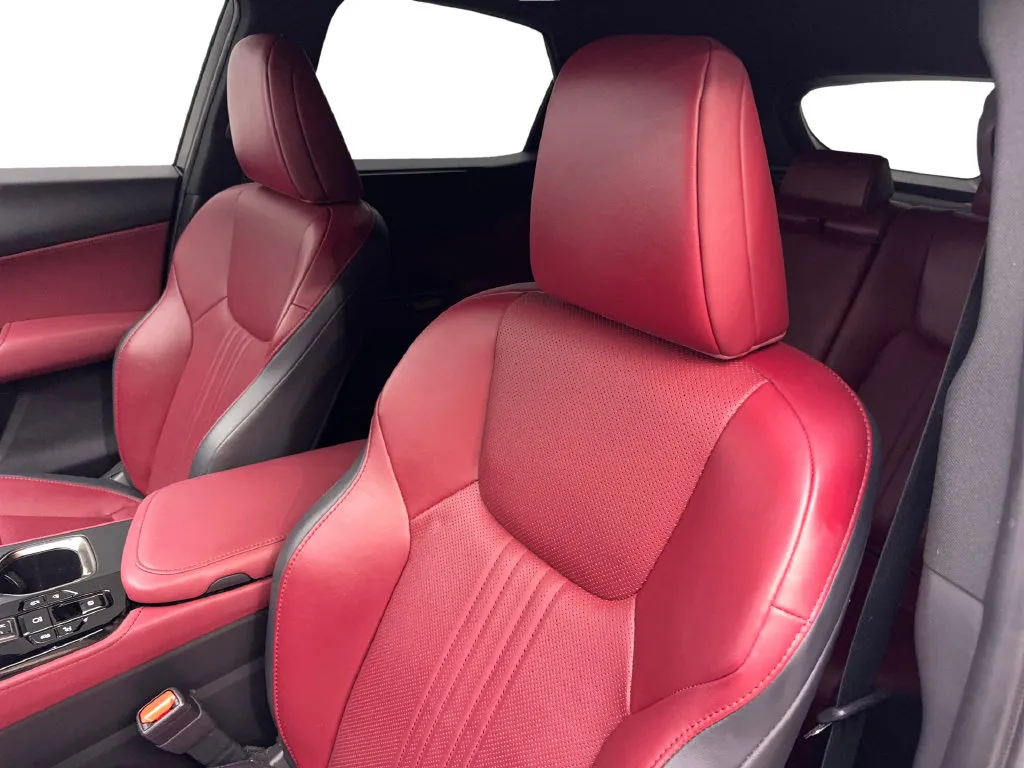 Lexus NX photo 28